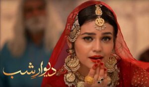 Deewar-e-Shab Drama Review