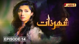 Shehr-e-Zaat Drama Review