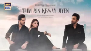 Tum Bin Kesay Jiyen Drama Review