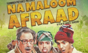 Na Maloom Afraad Movie Review - The Celeb Guru